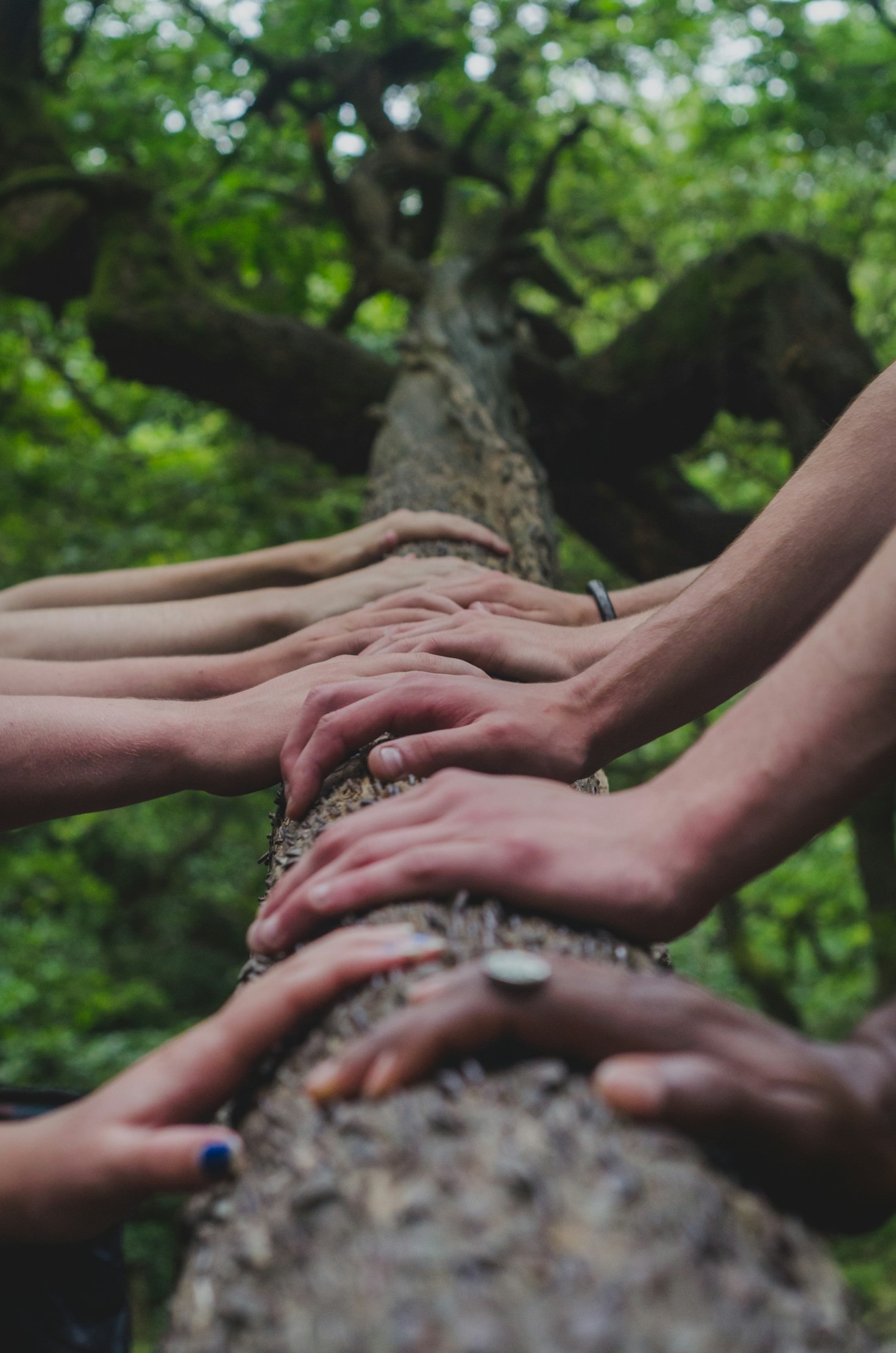 Nasr’s Mission: Bridging Gaps and Building Futures